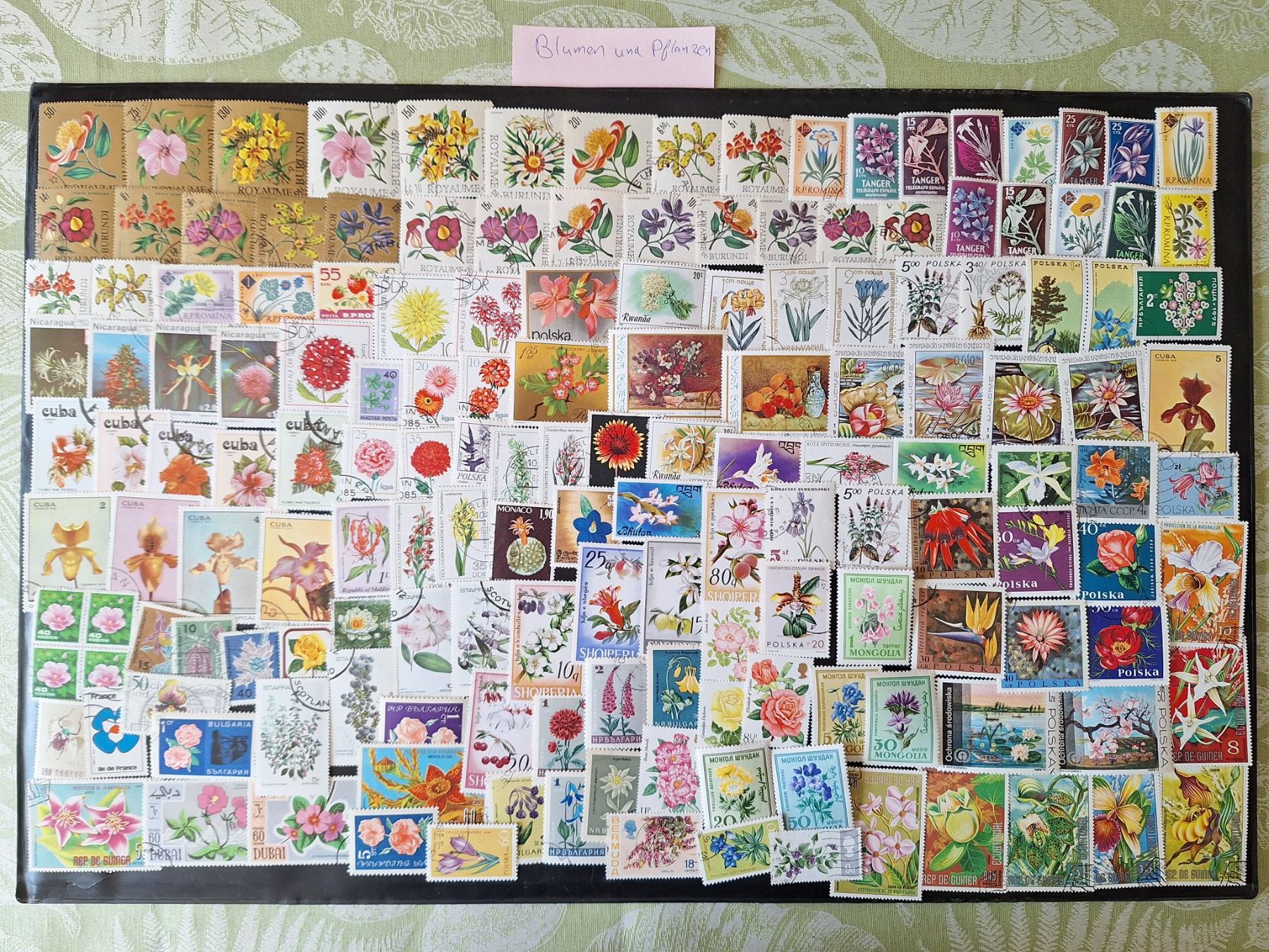 Tutti i francobolli: Grosse Blumen und Pflanzen-Sammlung – Usato da Genolier venduto da Antoine30