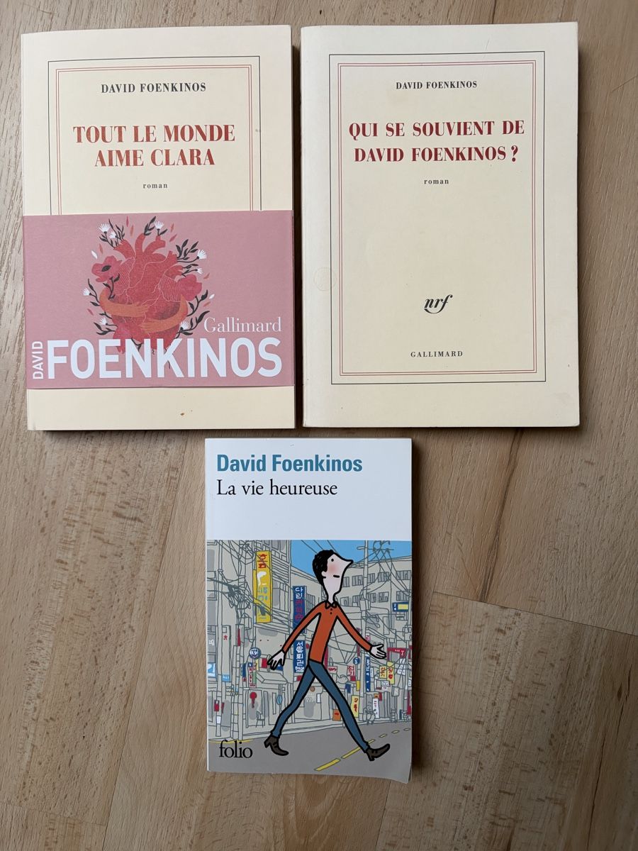 Libri: Lot 3 romans de David Foenkinos  – Usato da Crissier venduto da Nouchki76