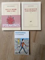 Lot 3 romans de David Foenkinos 