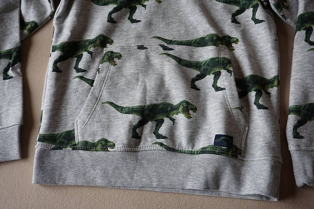 Maglioni & Felpe: Kapuzen Pullover mit Dinos Grösse 134 / 140 – Usato da Meinisberg venduto da Faithles1 1