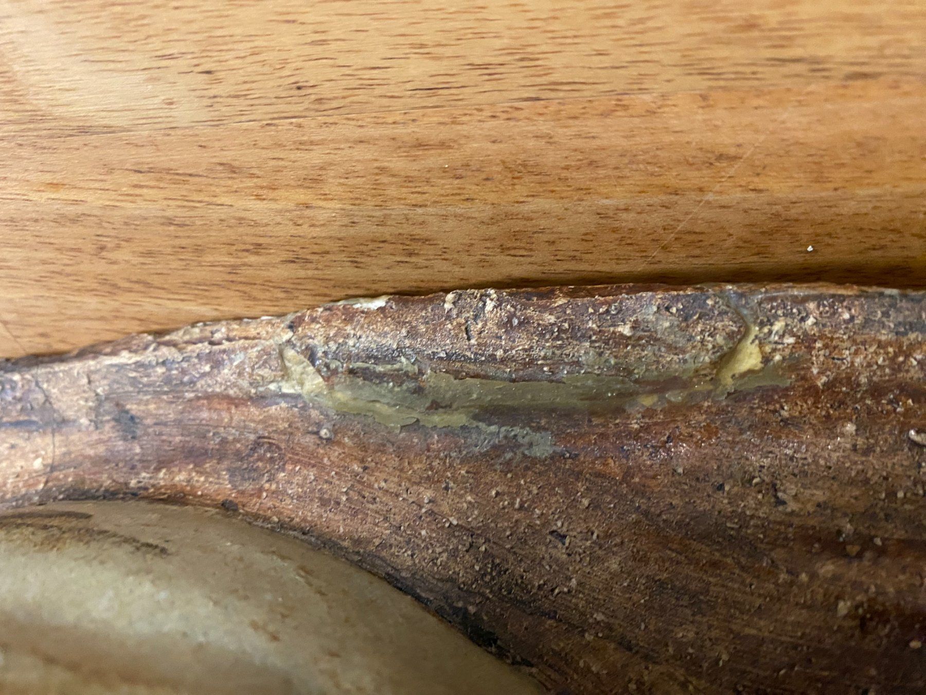 Statuette: Schnecke - aus Keramik/Ton – Difettoso da Gerolfingen venduto da Regenbogen88 7