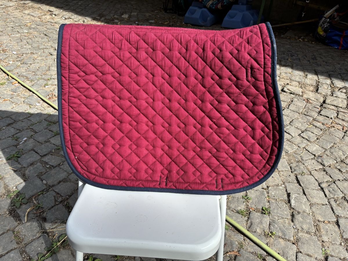 Sattel & Sattelzubehör: Schabracke  – Gebraucht aus St. Gallen von may_8fbd 3