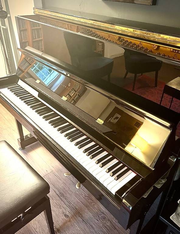 Steinway Strumenti musicali: Klavier Steinway & Sons V-125 – Usato da Männedorf venduto da dukerich 4