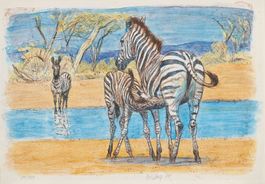 Hug Fritz "Zebras" mit Bleistift handsigniert u. num