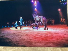 Circus Knie Foto 2006