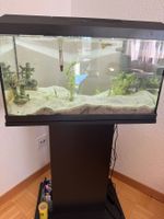 Aquarium Juwel  mit Unterschrank schwarz