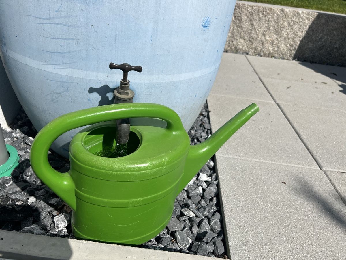 Annaffiatura & Irrigazione: Regenfass mit Wasserhahn  – Usato da Würenlos venduto da Storzi01 2