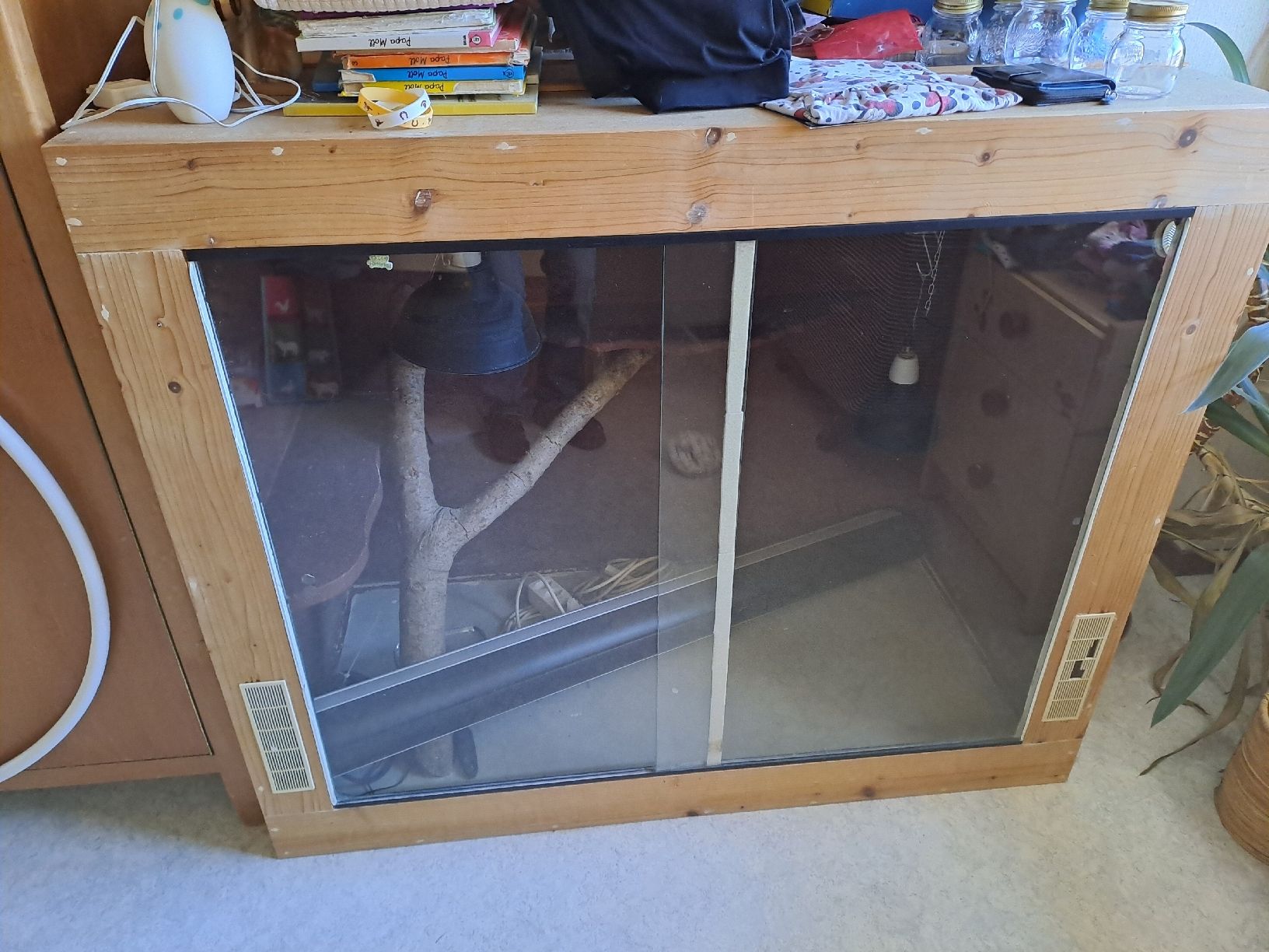 Terrarium: terrarium zu verkaufen – Gebraucht aus Jegenstorf von bri_n6jl