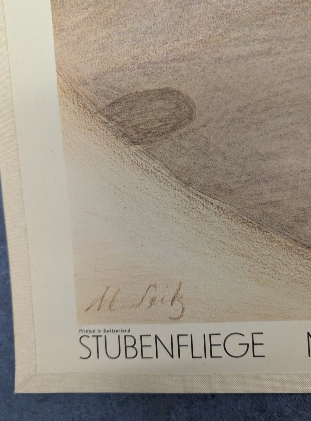 Foto & Immagini: Schulwandbild Nr. 143 - Stubenfliege – Usato da Luzern venduto da JenKu 4