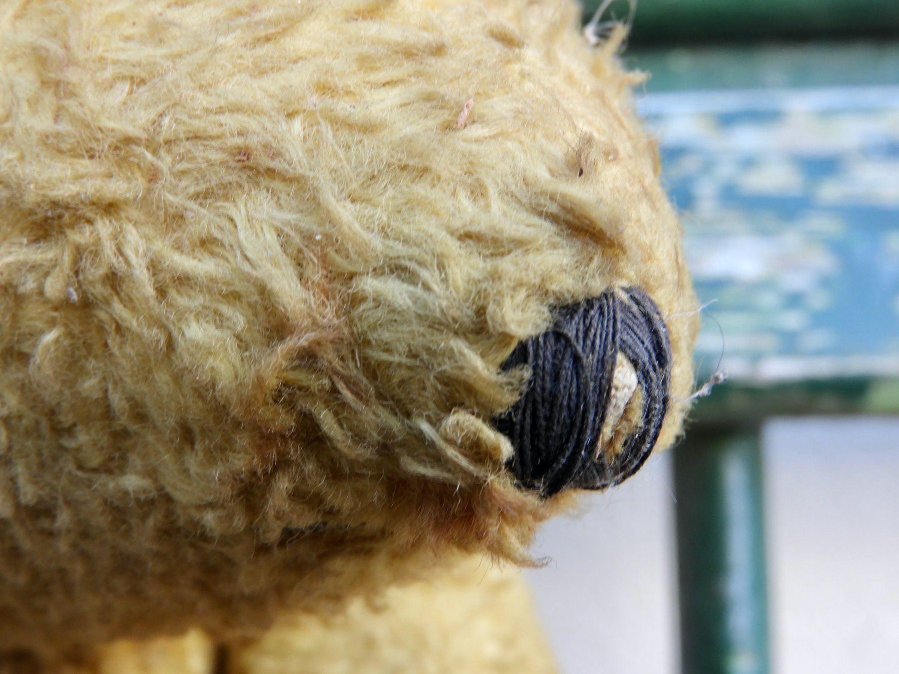 Giocattoli: Alter Teddy sucht neues Zuhause – Usato da Horw venduto da luzernicus 2