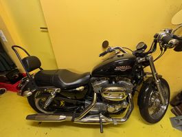 Harley XL883
