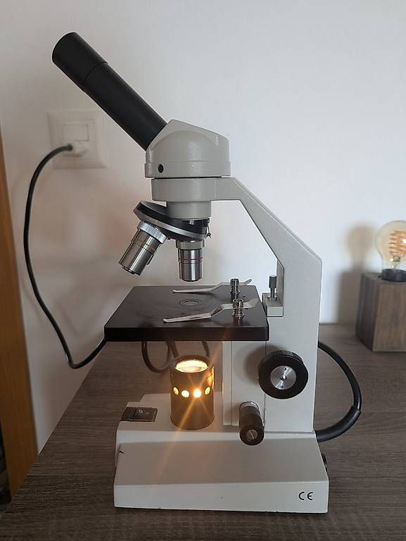 Microscopi: Microscope monoculaire d'étude – Usato da Penthéréaz venduto da Gnocchi05 1