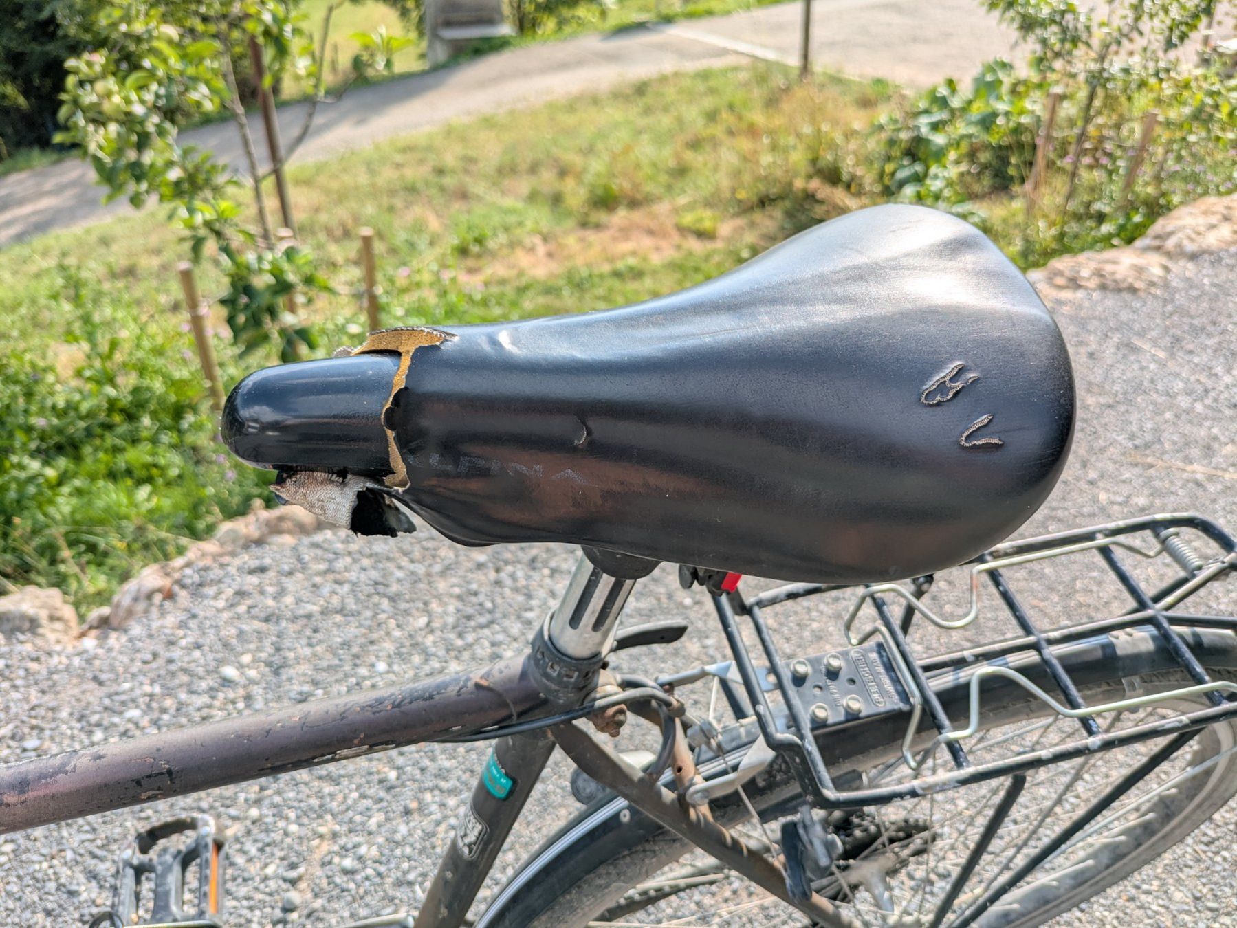 Velos: Alpina Velo Herren – Gebraucht aus Uznach von verkehrsinstruktor 2