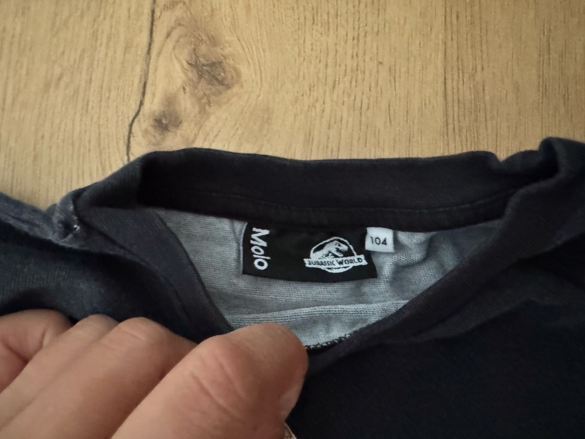 Molo Pullover & Sweatshirts: Molo Dinosaurier Pullover 104 – Gebraucht aus Allschwil von KYJS 1
