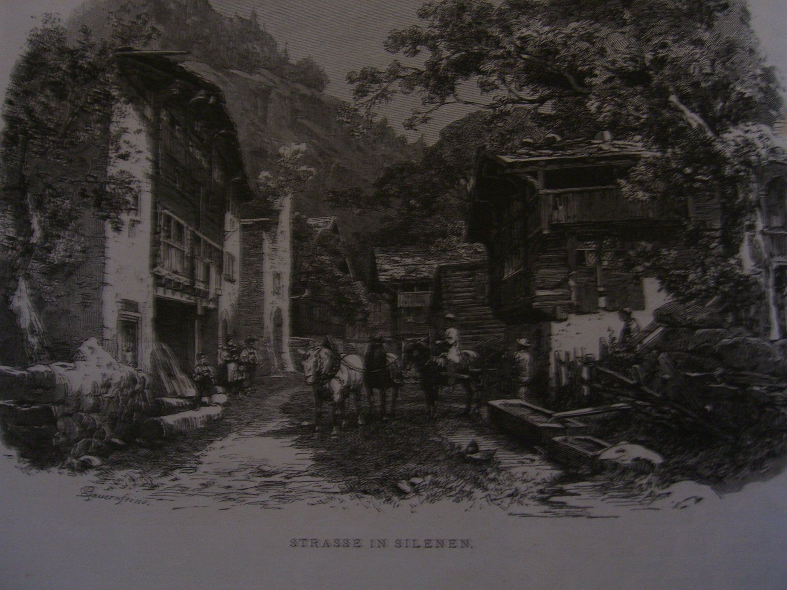 Bücher: Das Schweizerhaus - Woldemar Kaden – Gebraucht aus Bischofszell von Joachim-115 3