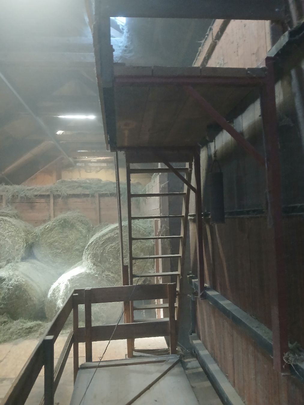 Scale: Holztreppe, Treppe – Usato da Sissach venduto da ilmayore 2