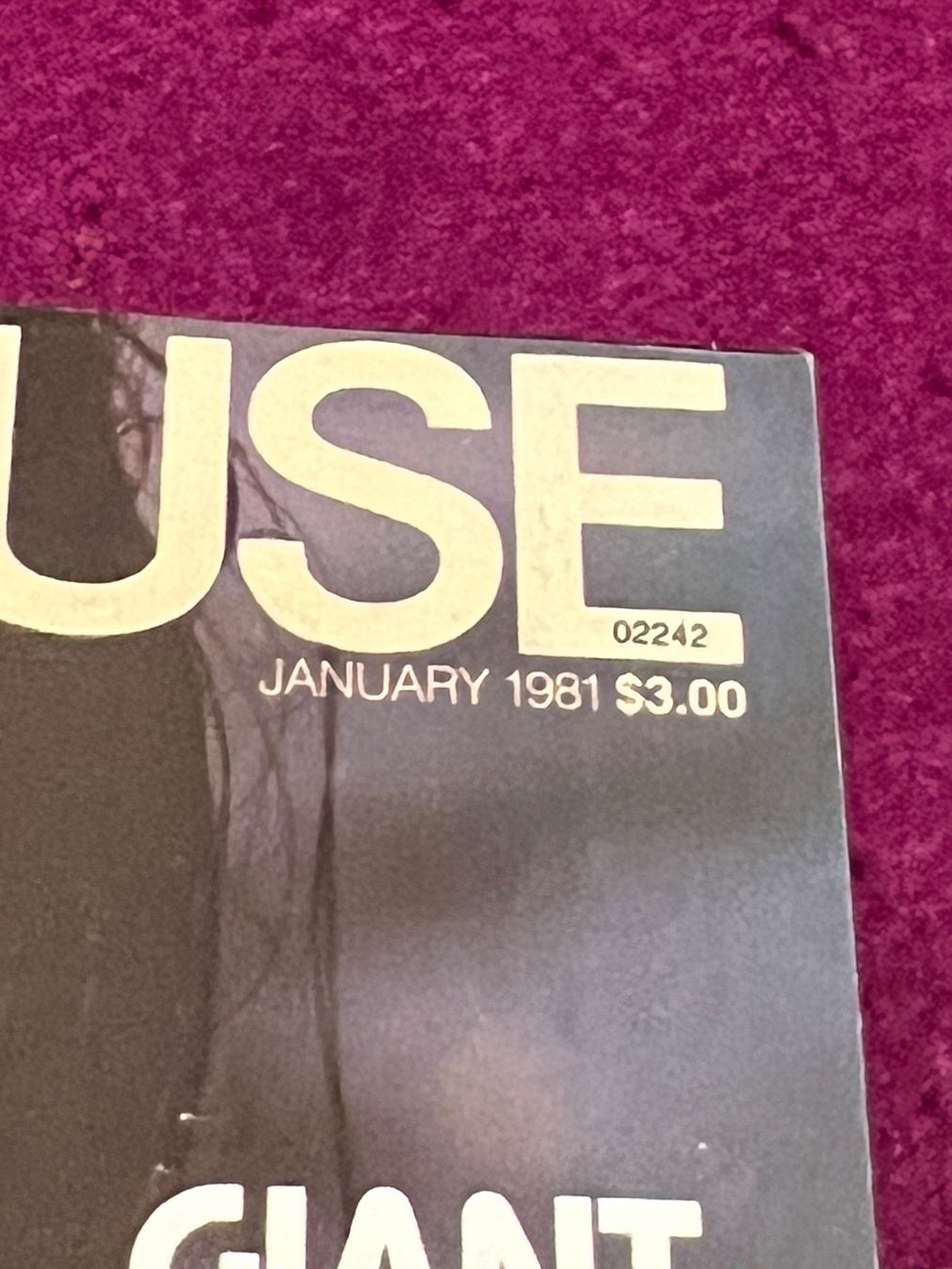 Riviste & Magazine: PENTHOUSE (c) US original Ausgabe – Usato da Uster venduto da Mr.Twister 1