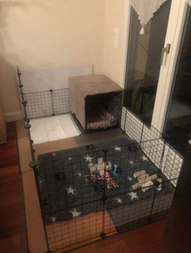 Gabbie, trasporto & Sicurezza: Dog play pen – Usato da Confignon venduto da lynningva