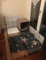 Dog play pen