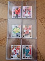 Wir verkaufen unsere Panini Extra Karten zur WM 2026 – alle