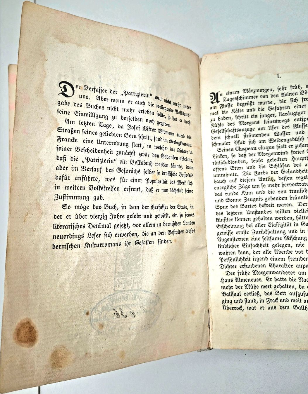 Libri: DIE PATRIZIERIN – Usato da Oberuzwil venduto da rtr_wp6m 3