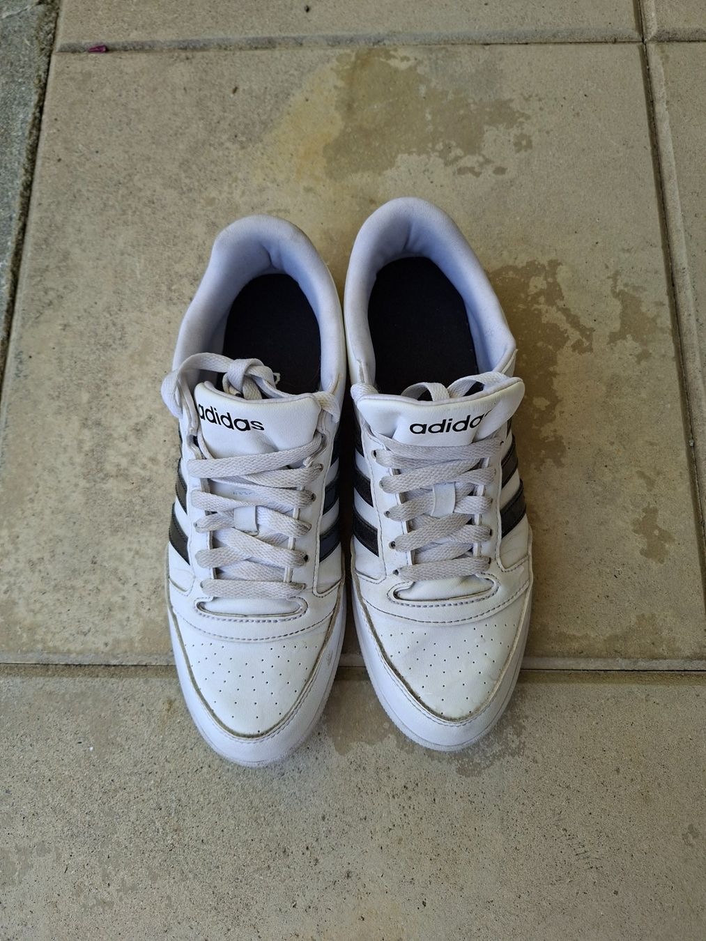 Adidas Scarpe da donna: Adidasschuhe Gr 39  Damen – Usato da Illgau venduto da usa_c6q6