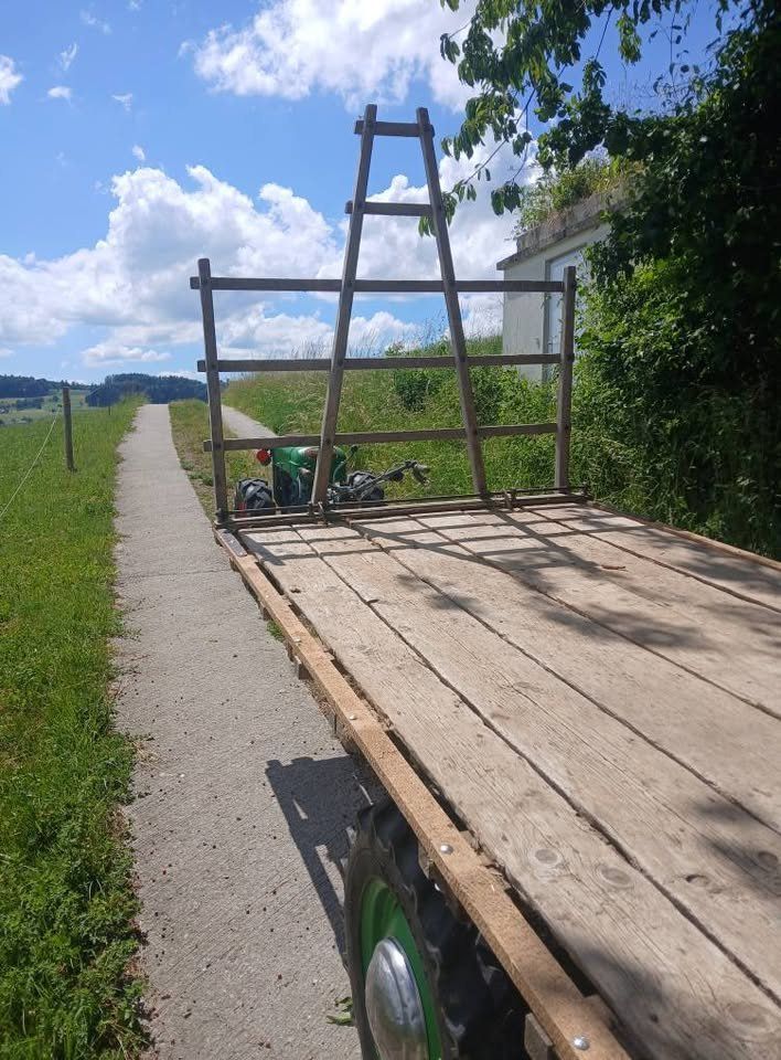 Rapid Trattori: Rapid Spezial – Usato da Beromünster venduto da Irbelale 5