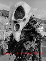 HALLOWEN / HORROR RABEN SKELETT