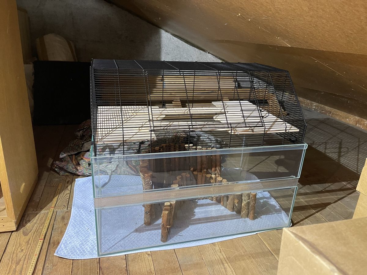 Gabbie, trasporto & Sicurezza: Hamsterkäfig mit Zubehör – Usato da Zürich venduto da linus8910
