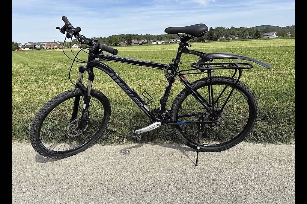 Wheeler Biciclette: Mountain Bike Herren – Usato da Luzern venduto da ladi01 1