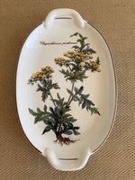 Henkelschale Porzellan VILLEROY & BOCH Botanica