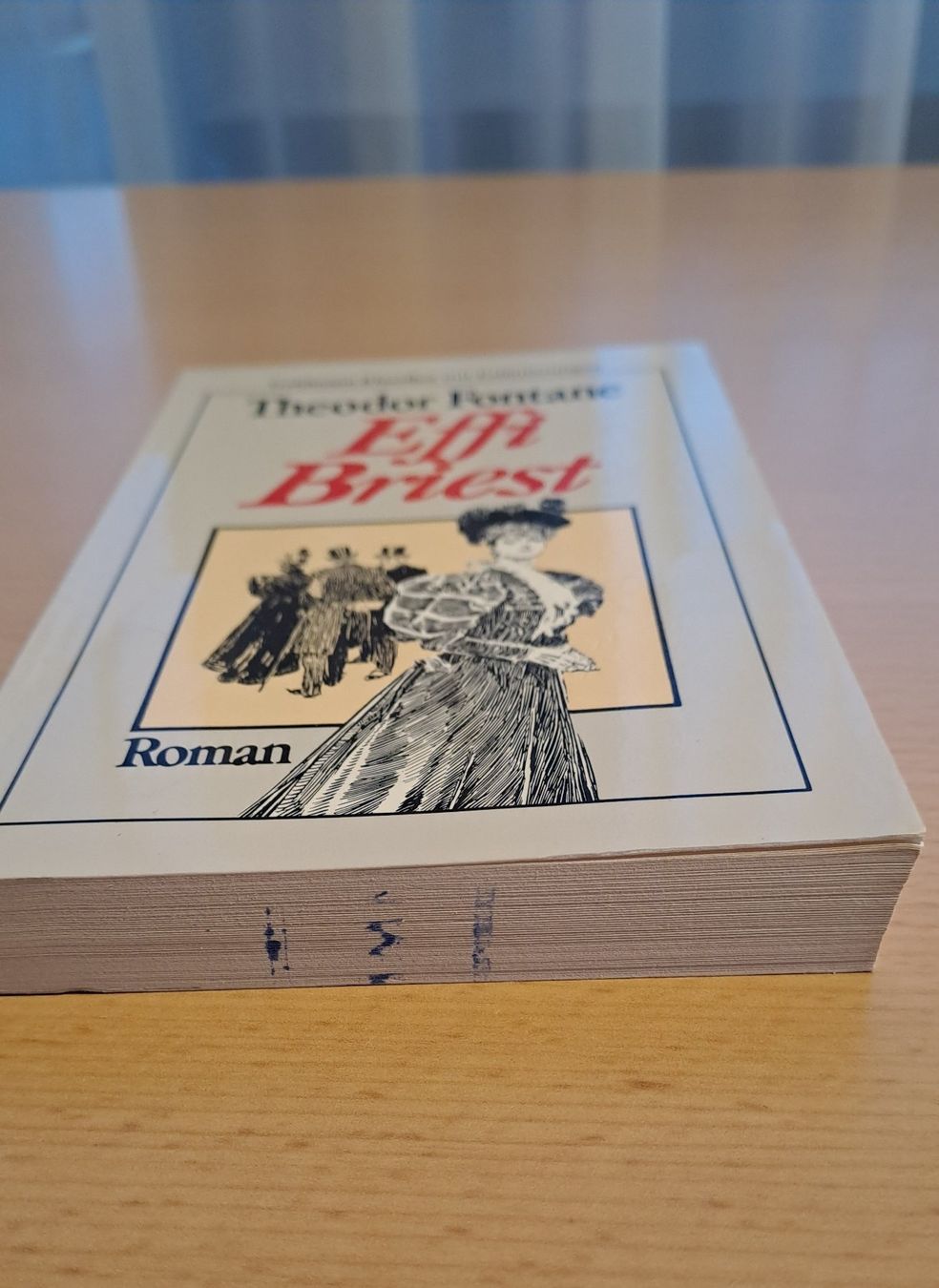 Libri: Theodor Fontane: Effi Briest – Usato da Root venduto da Umo63 1