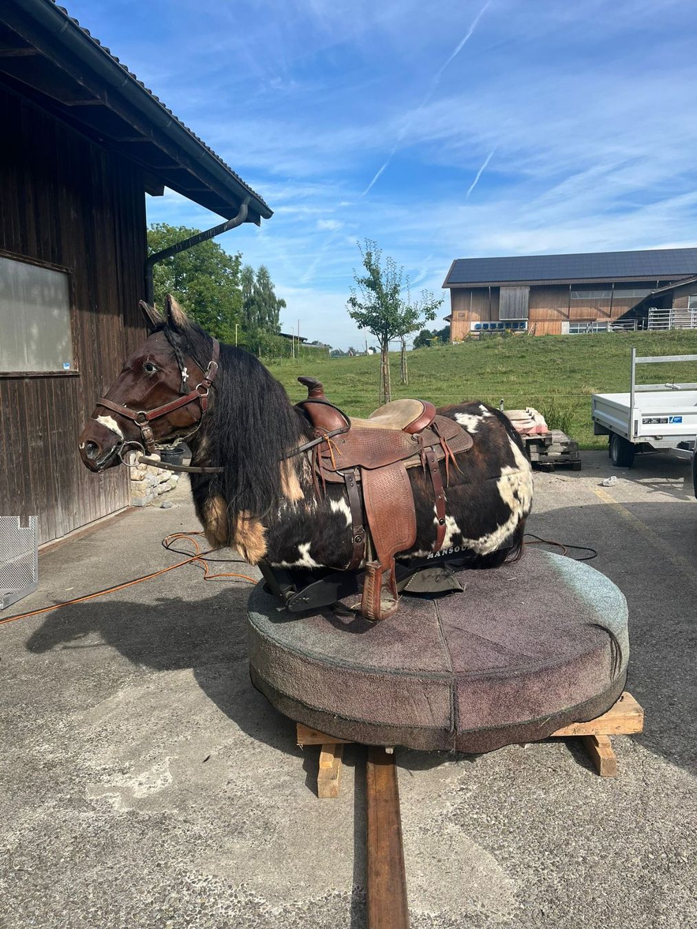 Spielzeuge: Pferd, elektronisches Rodeo-pferd – Gebraucht aus Cham von hermi104