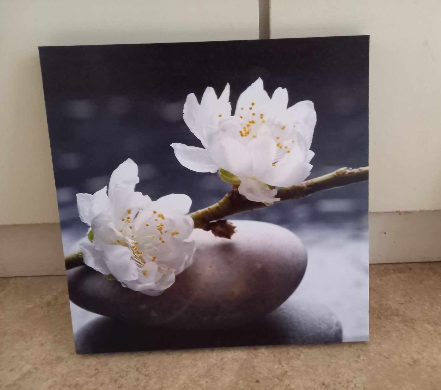 Foto & Immagini: Schönes Bild Kirschblüten Zen 28x28cm – Nuovo (secondo la descrizione) da Möhlin venduto da Simba4871 1