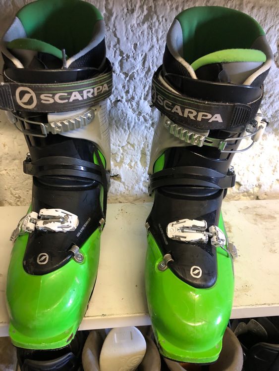 Scarpa thrill 2024