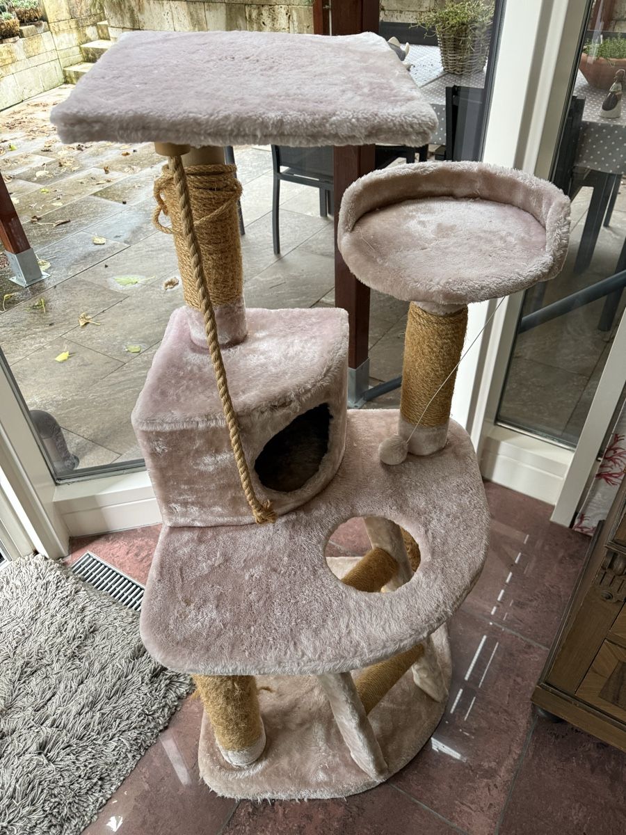Katzenbaum - Kratzbaum: Katzen Kratzbaum – Gebraucht aus Oberhof von Babylonier 4