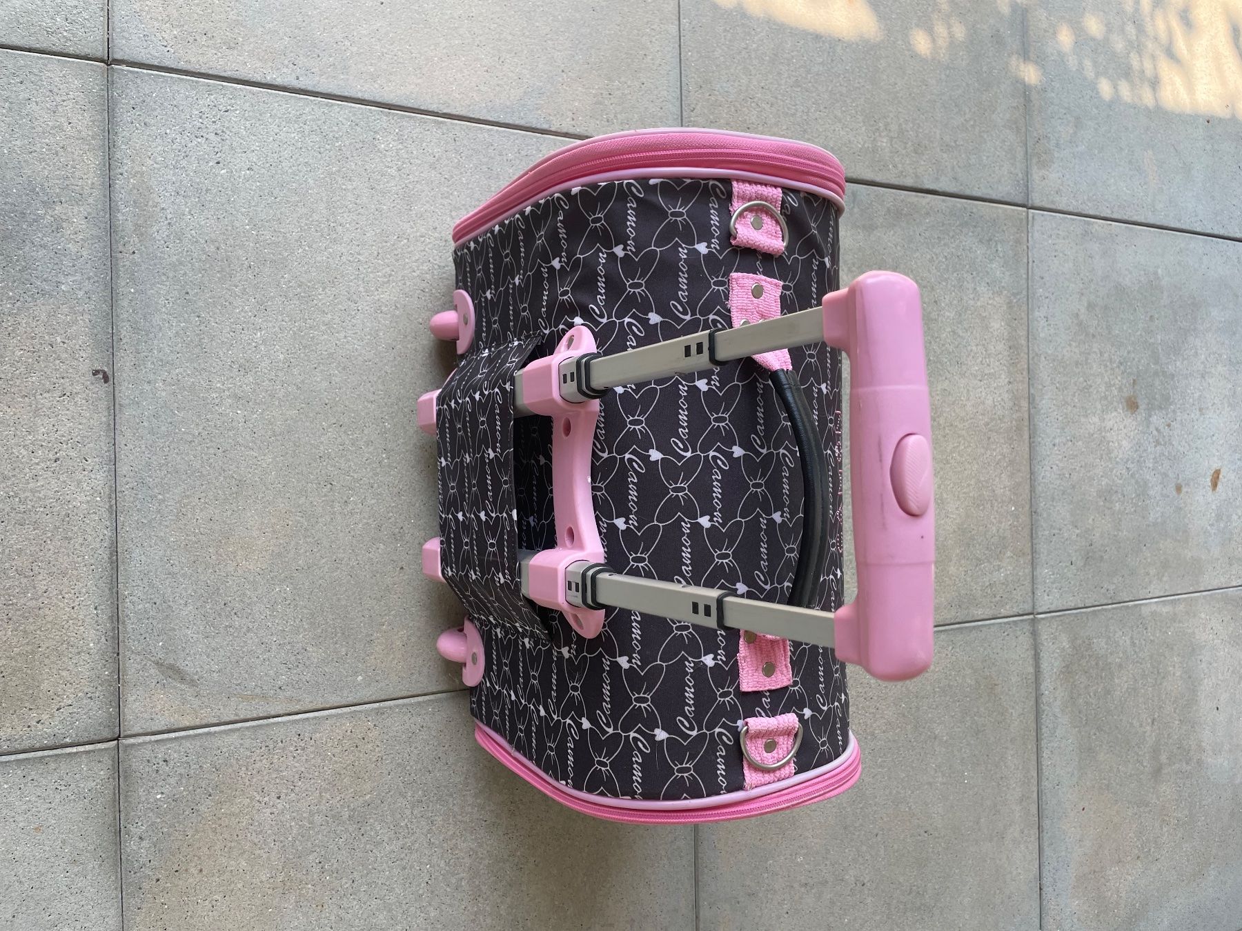 Gabbie, trasporto & Sicurezza: Trasportino per animali – Usato da Monteggio venduto da Mic1122 3