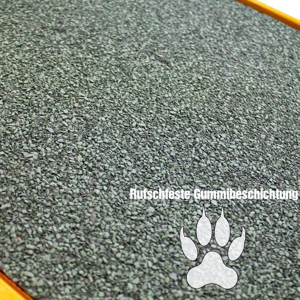 Abbigliamento: BITUXX Hundewippe Agility Training – Nuovo e nell'imballaggio originale da Bottighofen venduto da zaap 5