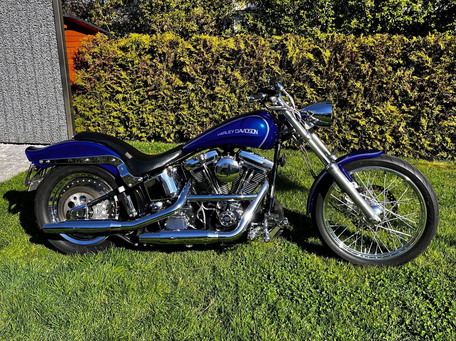 Harley-Davidson Cruisers: Harley Davidson Softail FXSTC – D'occasion à St. Gallen par Zulu88 2