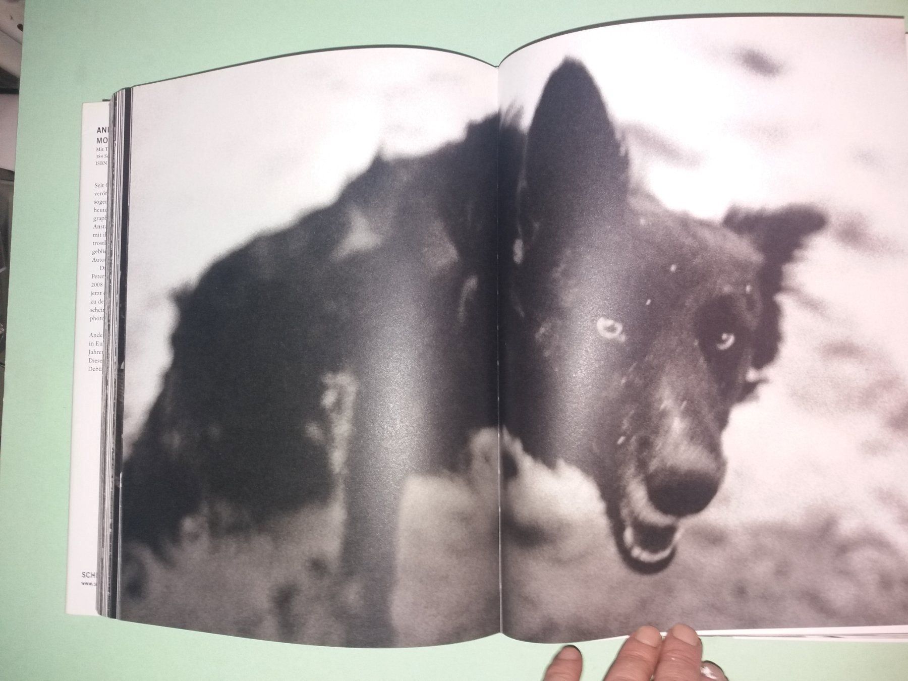 Livres: ANDERS Petersen Fotoklassiker – D'occasion à Welschenrohr par Regool 6