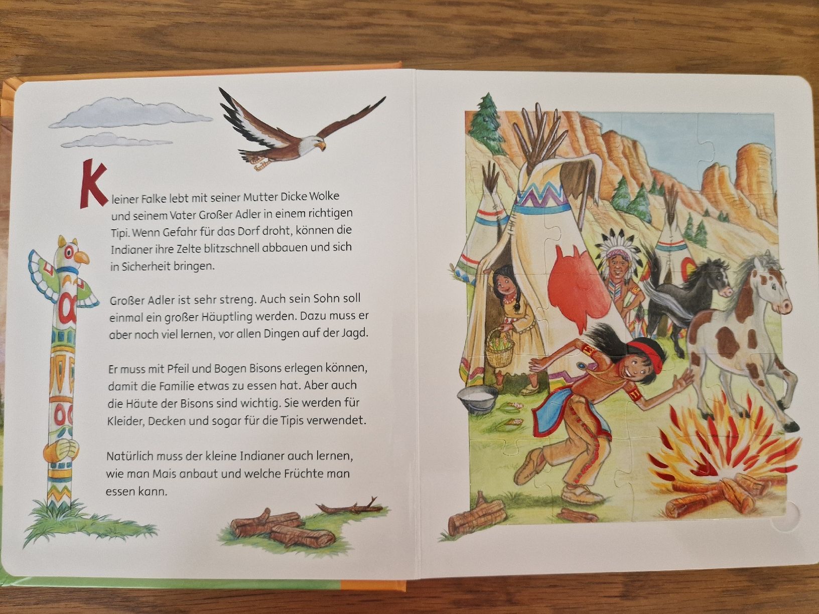 Bücher: Der kleine Indianer - Ein wildes Puzzlebuch – Neu und originalverpackt aus Villars-sur-Glâne von Agnie80 2