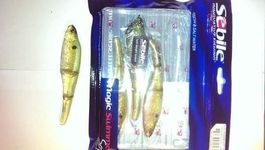 4 Sebile Magic Swimmer 105 mm greenie