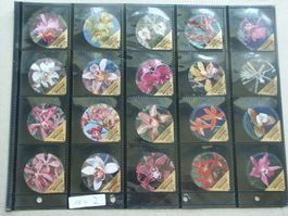 Serie   18 C     Orchideen        Gastro