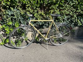 Cilo City Fahrrad in Gold Vintage Top