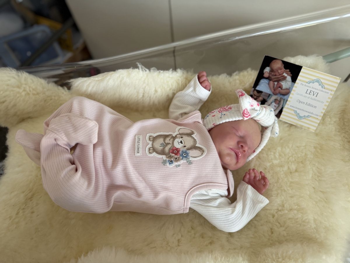Reborn Puppen: Levin – Neu (gemäss Beschreibung) aus Unterentfelden von van_m8g7 7