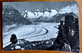 Aletschgletscher - Riederalp - Aletschwald 1957