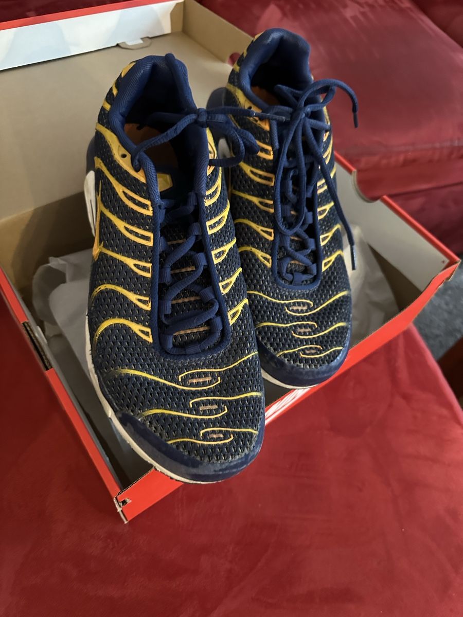 Nike Scarpe da uomo: Nike Air Max Plus – Usato da Schwarzenburg venduto da micmag