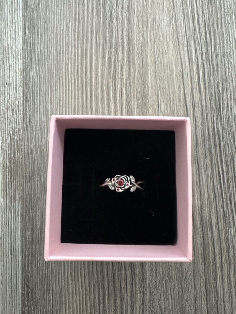 Pandora Ringe: Pandora Ring – Gebraucht aus Erlinsbach SO von Janina.murset 1