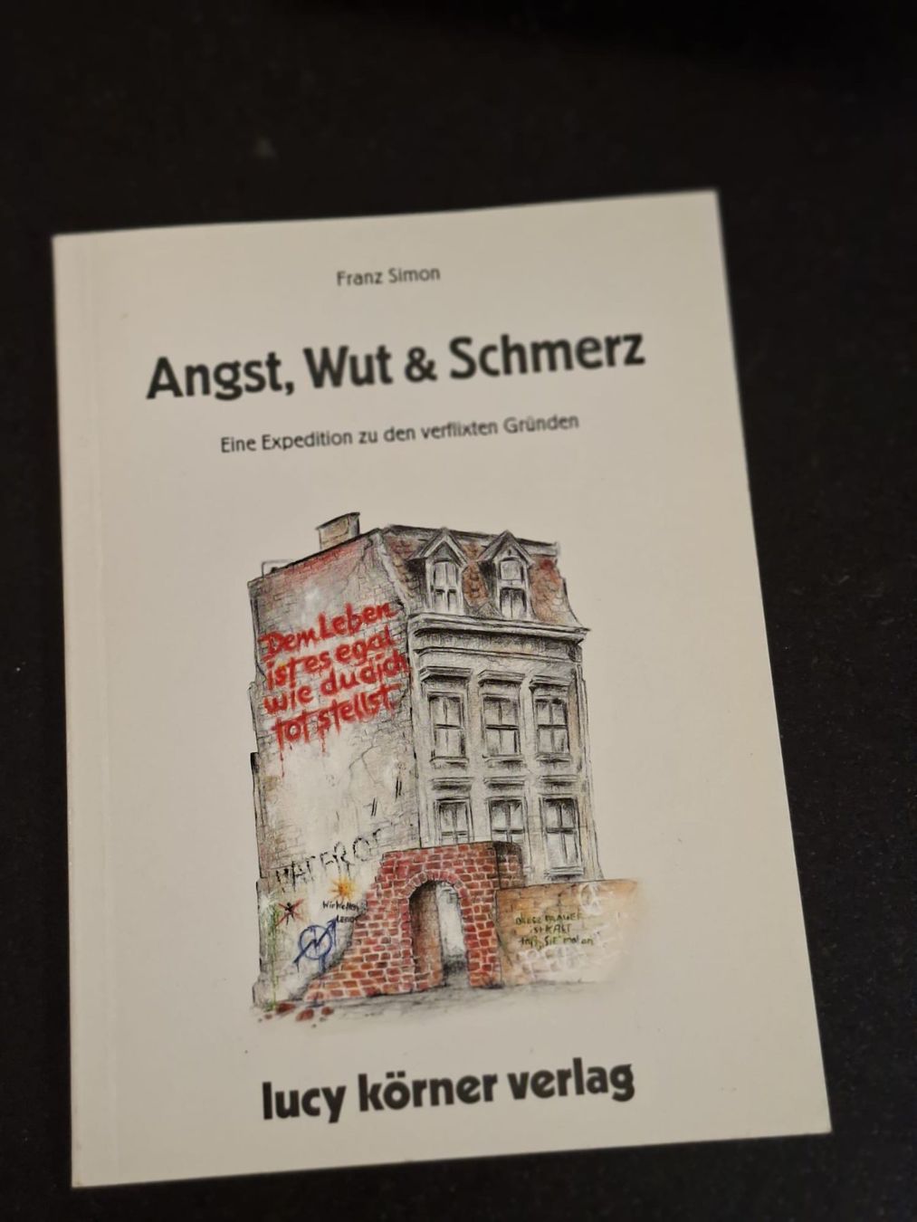 Libri: Buch Angst, Wut & Schmerz - Franz Simon – Usato da Krauchthal venduto da SamsPuce