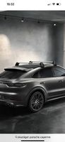 Ski-und Snowboard Dachtäger Porsche
